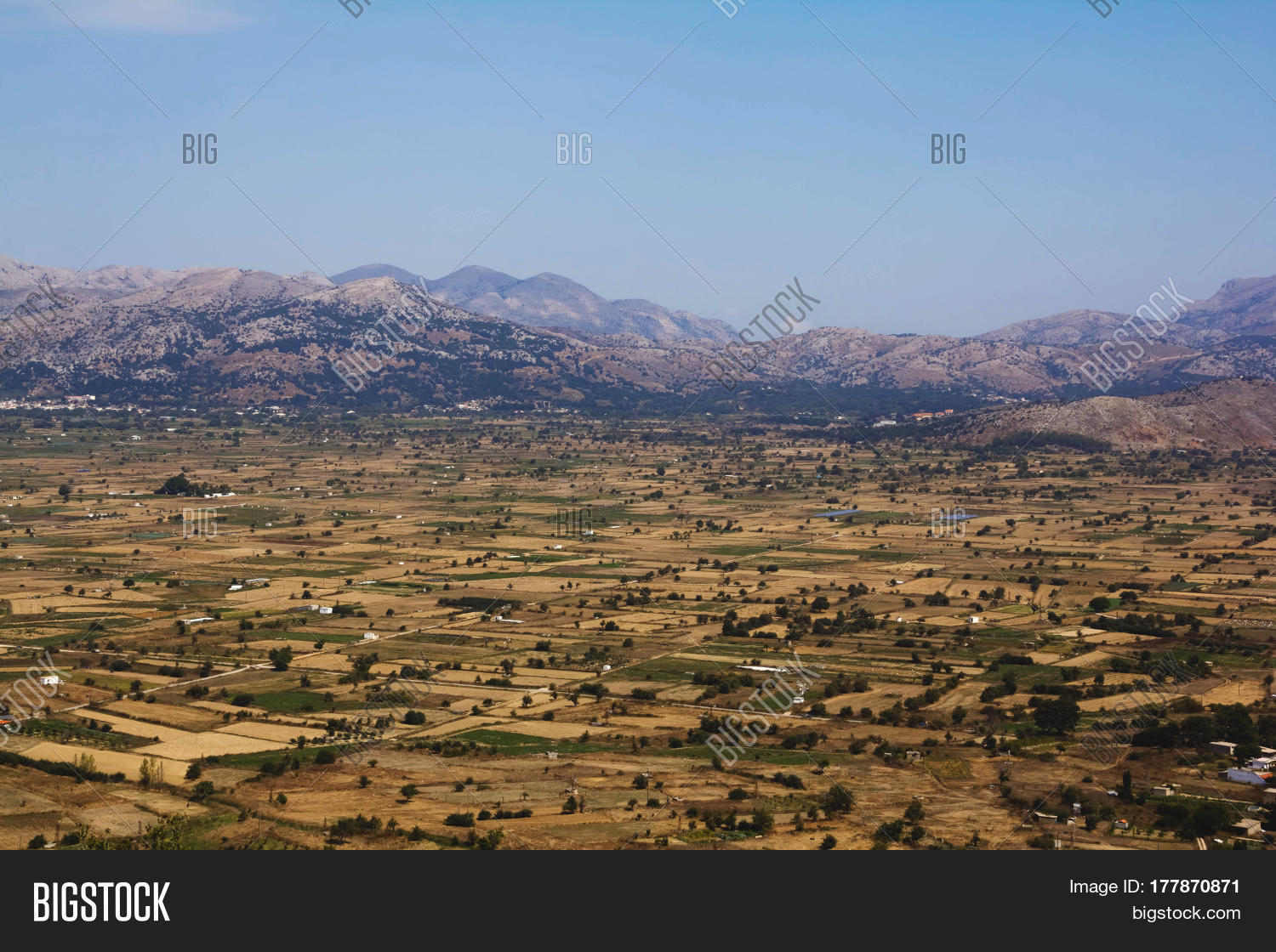 Image Preview