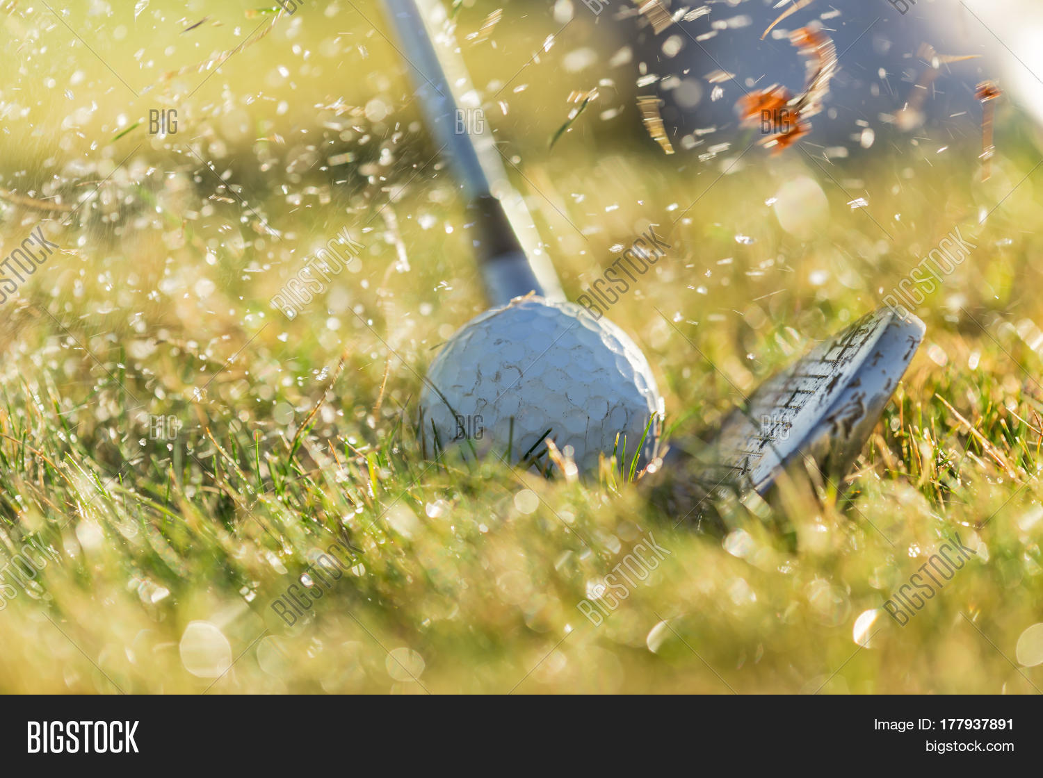 Chipping Golf Ball Image & Photo (Free Trial) Bigstock