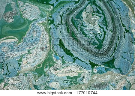 Blue-green Algae On A Lake In Denmark