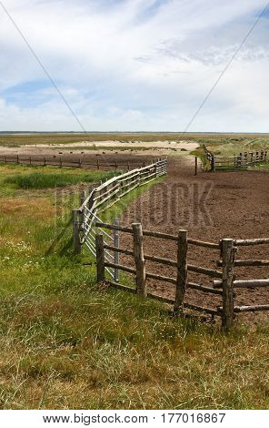 Fence In A Danish Landscapes In The Summer