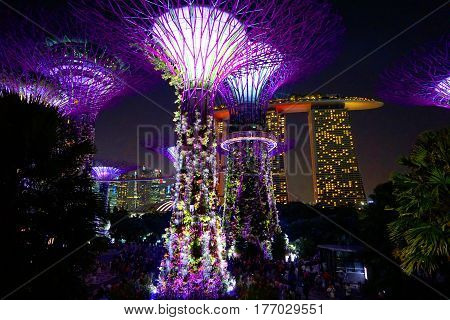 Singapore, Singapore - February 10, 2017: Night supergrove trees in Gardens By the Bay, situated in Marina Bay area in Singapore, it's a new design garden with innovative.