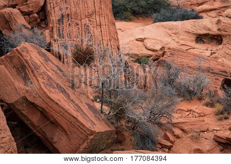 Red Rock In The Red Rock Canyon National Conservation Area, Usa