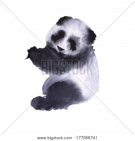 Bear the panda. Isolated on white background. Watercolor illustration.