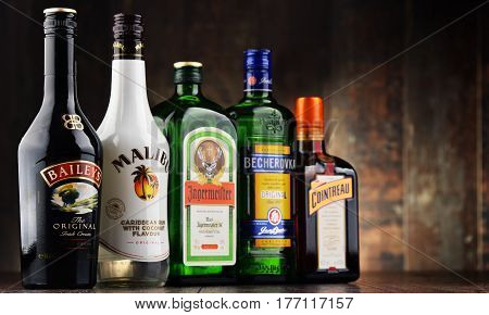 POZNAN POLAND - MAR 16 2016: Historical descendants of herbal medicines liqueurs are drinks made from distilled spirit flavored with fruit cream herbs spices flowers or nuts and added sugar