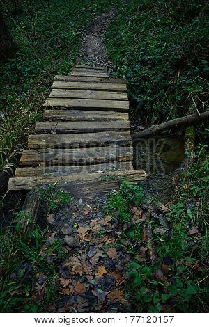 Wooden bridge over a stream in the park