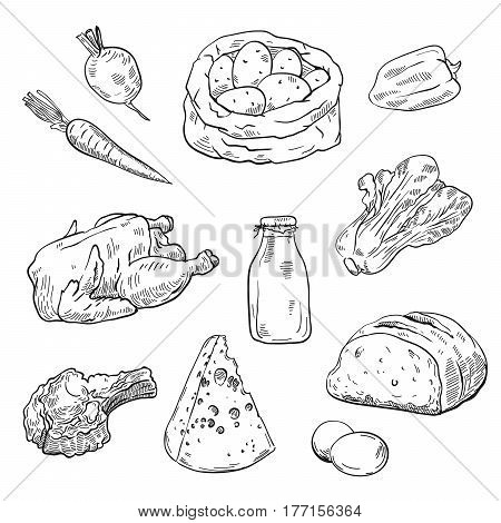 hand drawn sketches of natural products on a white background