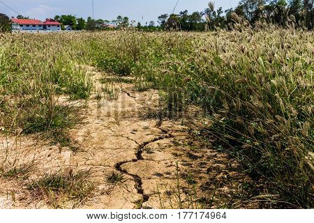 Cracked Ground