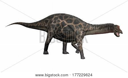 3D Rendering Dinosaur Dicraeosaurus On White