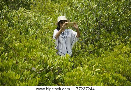 Traveler Thai Woman Use Smartphone Take Photo On Wooden Bridge For Travel And Visit Golden Mangrove