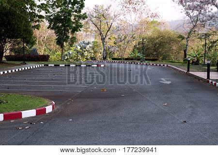 parking lot empty trees vegetation carpark  outdoor