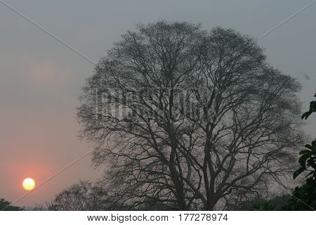 The sun set on a cloudy day.