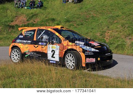 Acquasanta Italy - November 01 2016 - Rally of the Valli Genovesi: The 207 Super 2000 of 'crew Bruno-Fontanone during the race.