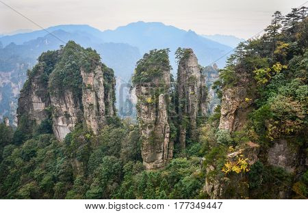 Zhangjiajie National Park In Hunan, China