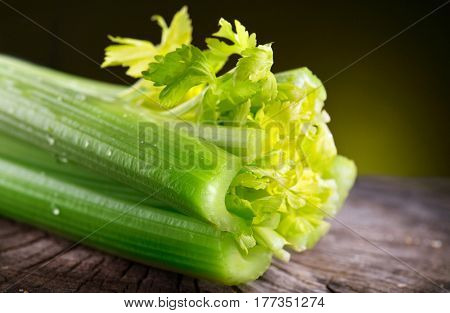 Celery closeup over black background. Leaves and stem of fresh organic green celery close up. Healthy eating, vegetarian food, diet,dieting concept.