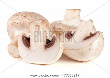 Fresh champignon mushrooms isolated on white background.