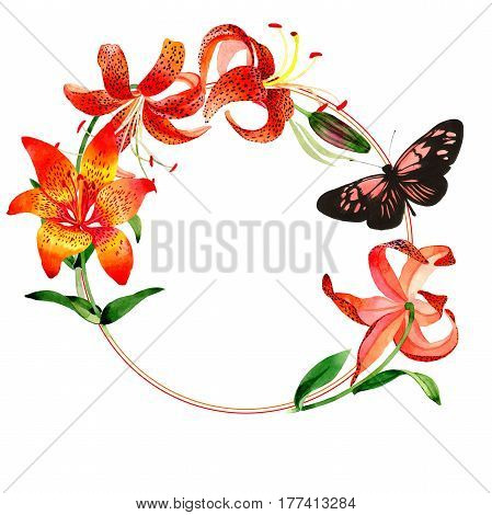 Wildflower leopard lily flower frame in a watercolor style isolated.  Aquarelle wild flower for background, texture, wrapper pattern, frame or border.