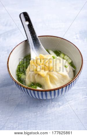 Dumpling as close-up in a Bowl