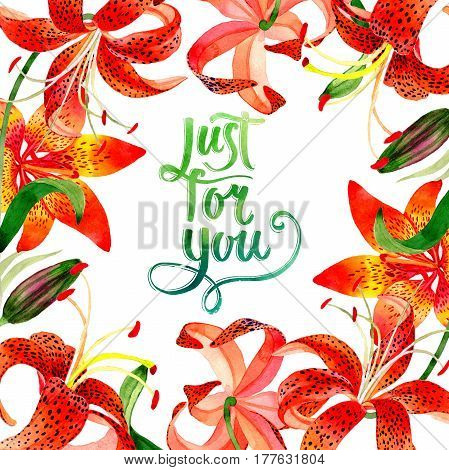 Wildflower leopard lily flower frame in a watercolor style isolated.  Aquarelle wild flower for background, texture, wrapper pattern, frame or border.