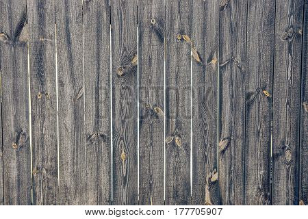 Texture of a tree from an old fence