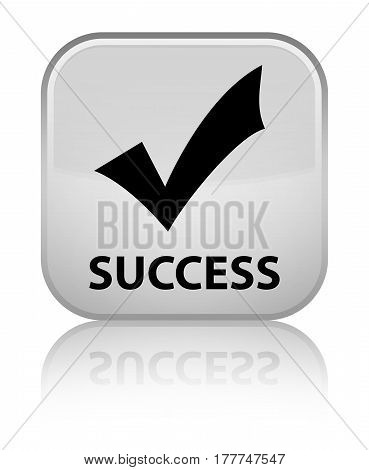 Success (validate Icon) Special White Square Button