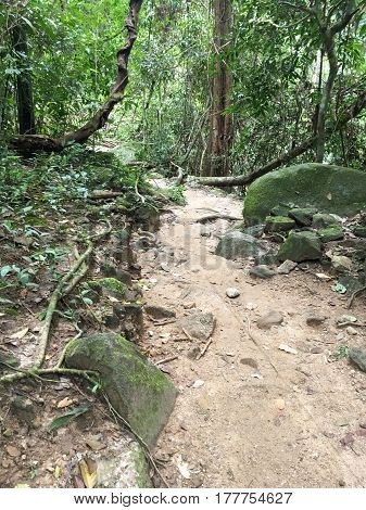 nature walkway in Khao Chamao , Rayong , Thailand