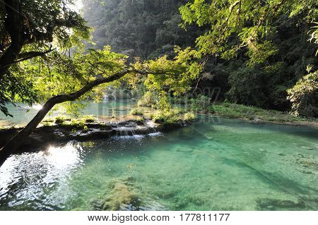 Natural Monument Park Of Semuc Champey At Lanquin