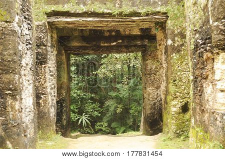 The Mayan Ruins Of Tikal