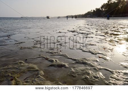 Sunset on the sand of Bamnuri beach in Kenya