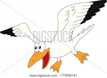 Cartoon Gull For Babies And Little Kids