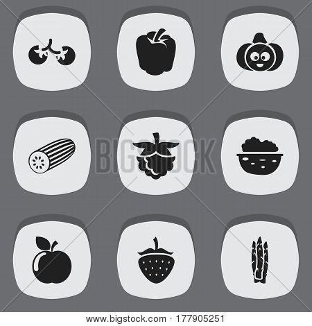 Set Of 9 Editable Cookware Icons. Includes Symbols Such As Pecan, Sparrowgrass, Cucumber And More. Can Be Used For Web, Mobile, UI And Infographic Design.