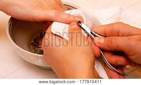 Manicure in the beauty salon. Painting and polishing nails. Spa nails cuticle scarfskin procedure.