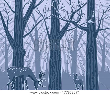 Night in the Deep Forest Vector Illustration