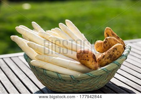 Asparagus white asparagus and potatoes in the basket