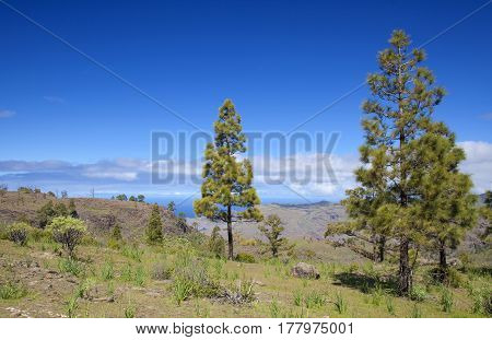 West Gran Canaria In February