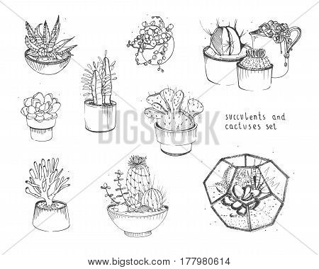 Cactus and succulents set, Collection plants in pots, florarium isolated on white background. Hand drawn illustration in sketch style.
