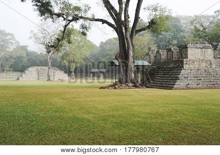 The Mayan Ruins Of Copan