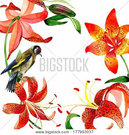 Wildflower leopard lily flower frame in a watercolor style isolated.  Aquarelle wild flower for background, texture, wrapper pattern, frame or border.