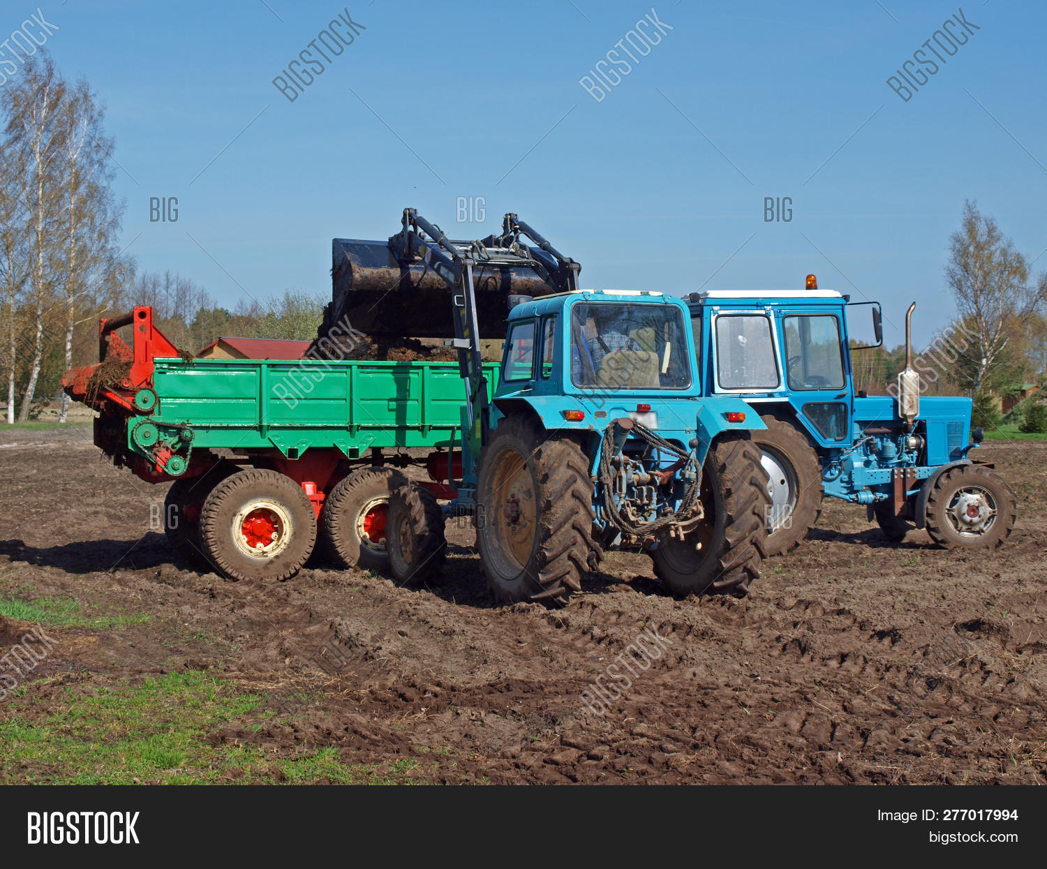 Image Preview