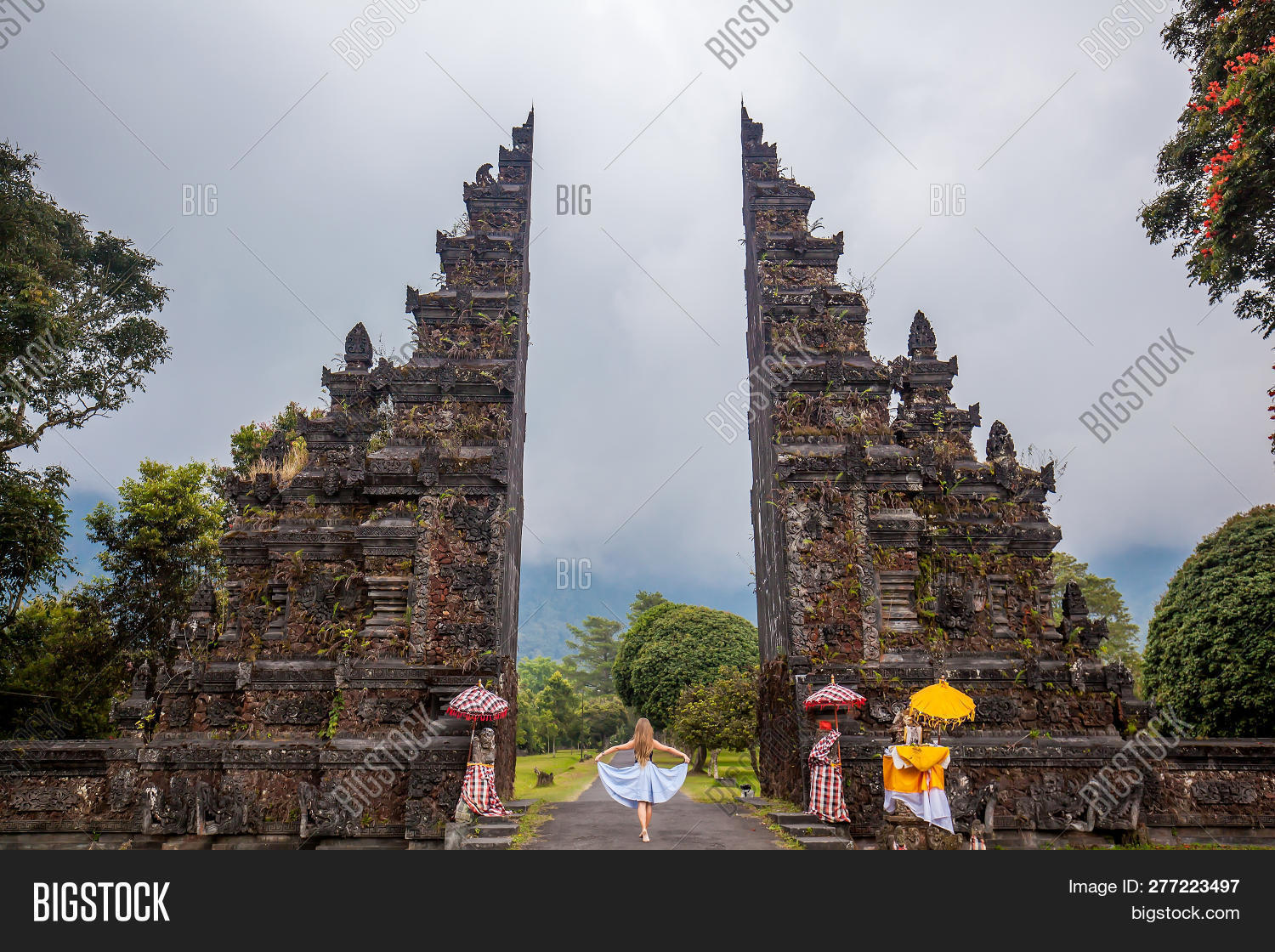 Image Preview