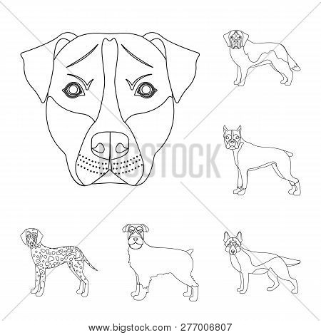 Vector Design Of Cute And Puppy Icon. Set Of Cute And Animal Stock Vector Illustration.