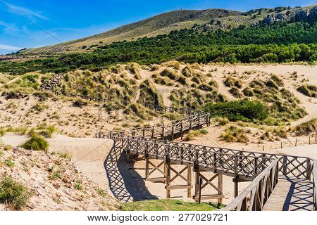 Wooden Footbridge Over Sand Dunes On Majorca Island At The Bay Of Cala Mesquida Spain