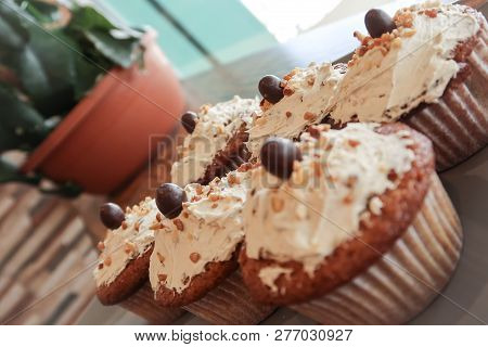 Six Creamy Cupcakes In The Window With A Plantpot