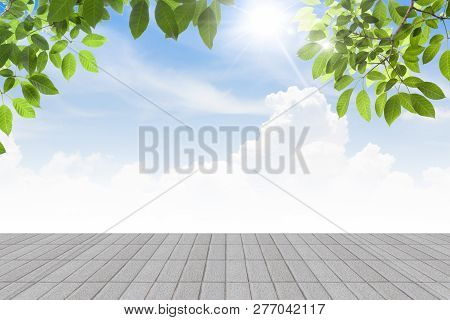 Fresh Spring Green Leaves Bule Sky With  Wood Floor Bule Sky
