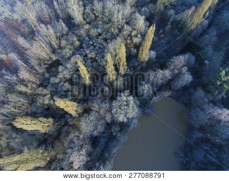 View Of The Frozen Trees In Theillay, Loir-et-cher, France