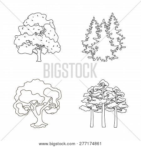 Vector Design Of Tree  And Forest Symbol. Set Of Tree  And Green Vector Icon For Stock.