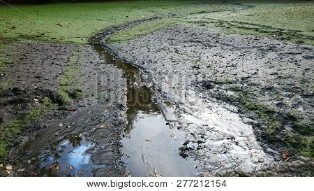 Contaminated Empty Pond With Oil And Mud.