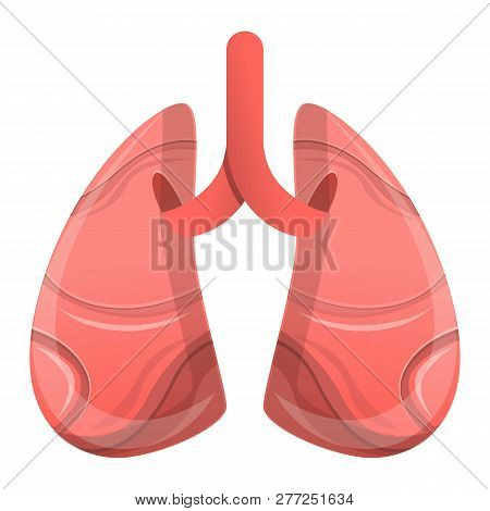 Human Lungs Icon. Cartoon Of Human Lungs Vector Icon For Web Design Isolated On White Background