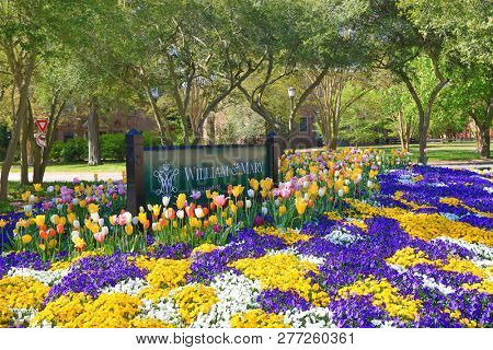 WILLIAMSBURG, VIRGINIA/USA - APRIL 22, 2018:  The college of William and Mary, located in Williamsburg, Virginia, is the second oldest university in the United States.  