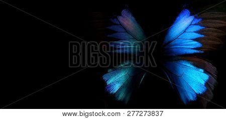 Blue Abstract Pattern. Wings Of The Butterfly Ulysses. Wings Of A Butterfly Texture Background. Copy