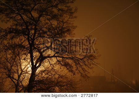 In Haze